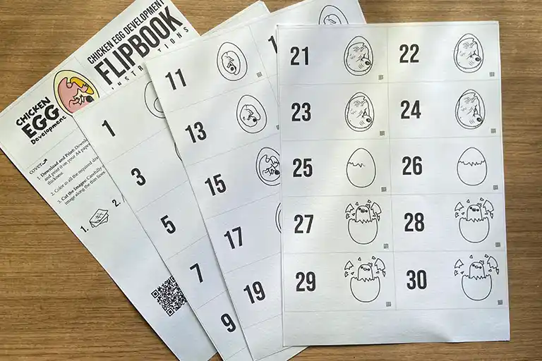 Perfect for homeschool activities—bring science to life!