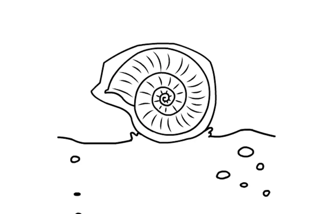 A fossilized ammonite being exposed by wind and water erosion on a cliff side.