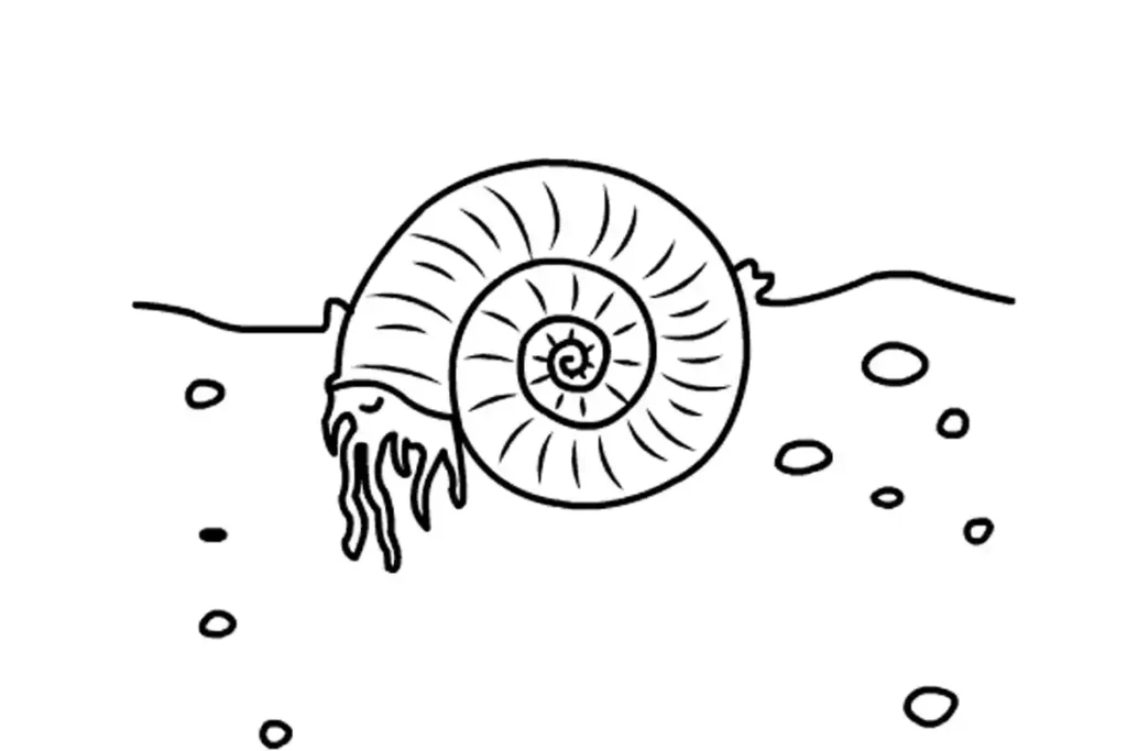 Ammonite shell being buried by sand and silt on the seabed.