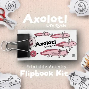 Axolotl Life Cycle Flipbook Kit